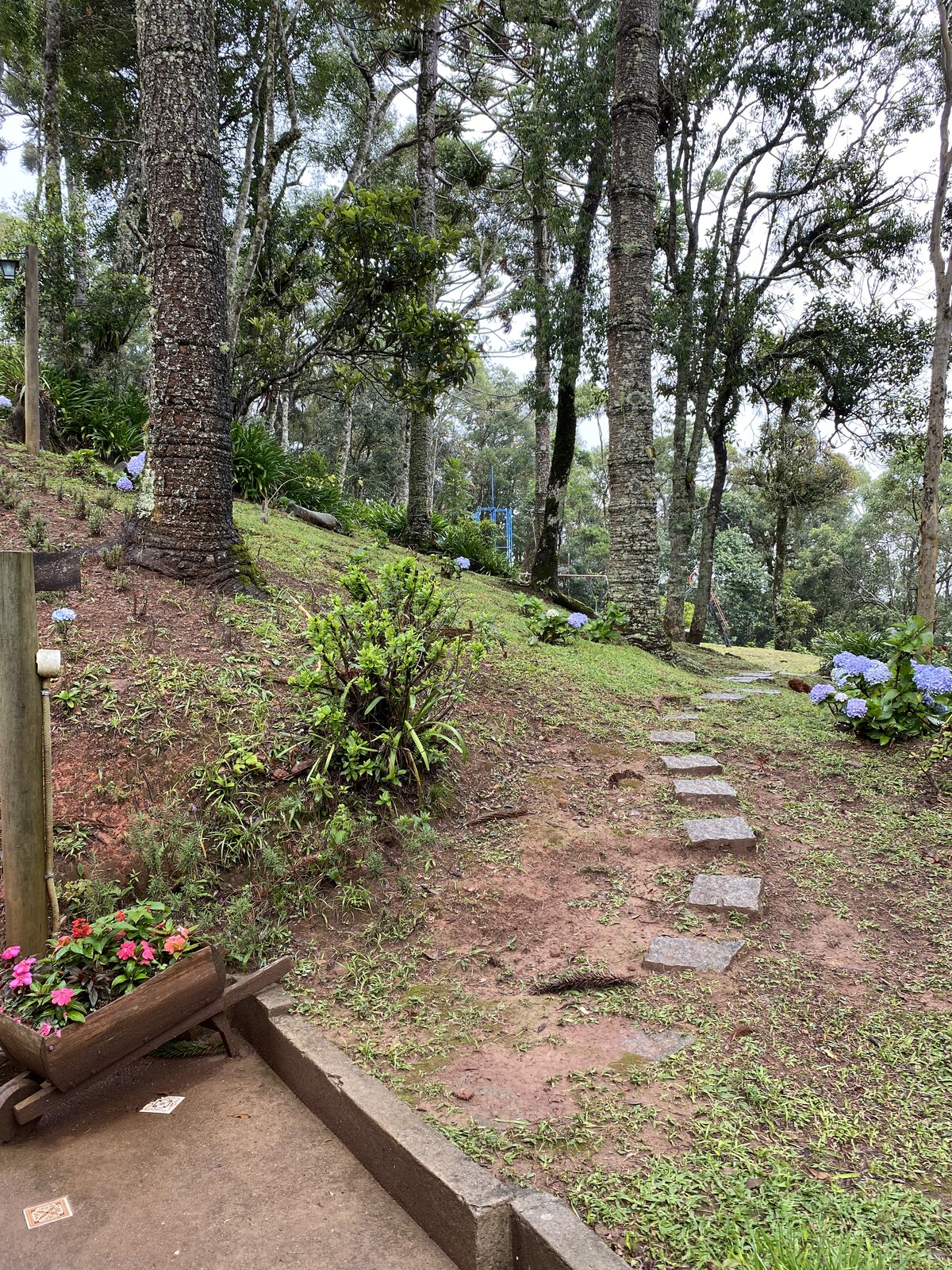 Jardim e entorno do chalé